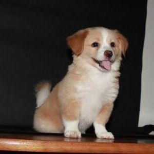 Meet your Posher, Martinez